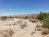 28170 Glenwood Drive photo